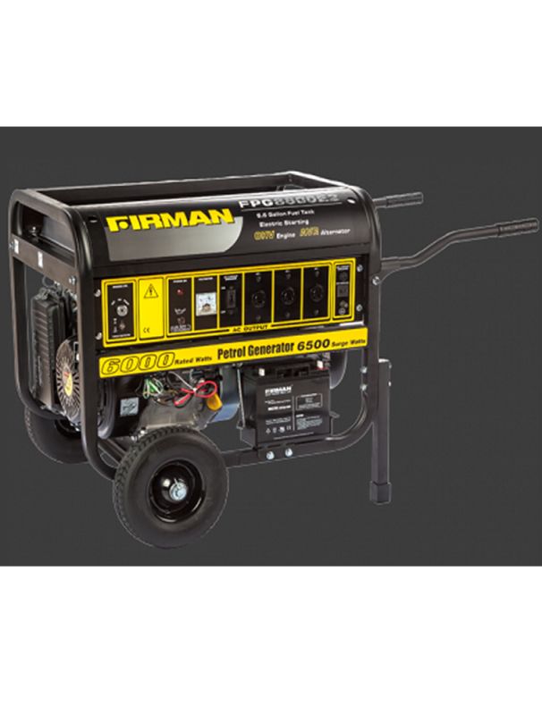 SUMEC FIRMAN GENERATOR - FPG8800E2